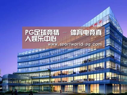 案例展示五