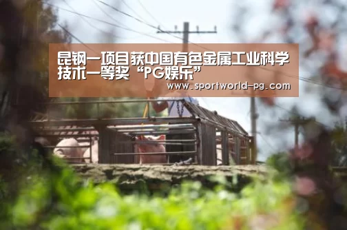 昆钢一项目获中国有色金属工业科学技术一等奖“PG娱乐”(图2) PG捕鱼