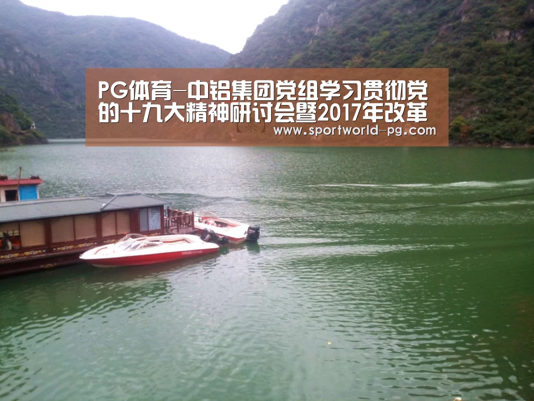 PG体育-中铝集团党组学习贯彻党的十九大精神研讨会暨2017年改革创新与发展战略研讨会召开(图1) PG捕鱼